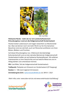 Flyer mit Text Heilsame Hecke