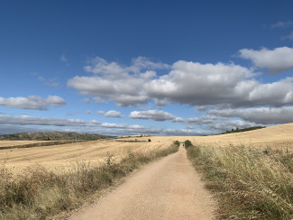 Ein Weg der in die Weite führt mit blauem Himmel und Wolken