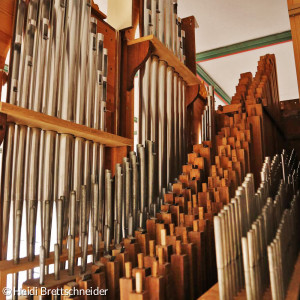 Blick in Orgel - Orgelpfeifen