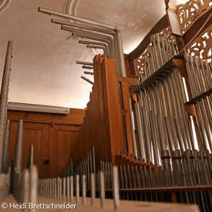 Blick in Orgel