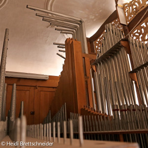 Blick in Orgel
