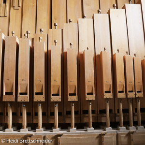 Blick in Orgel
