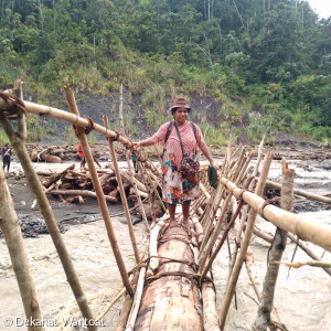 Eine Frau geht über eine Holzbrücke